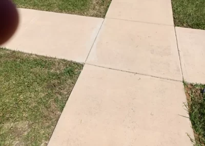 Landscape Maintenance