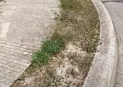 Reputable Landscape Maintenance